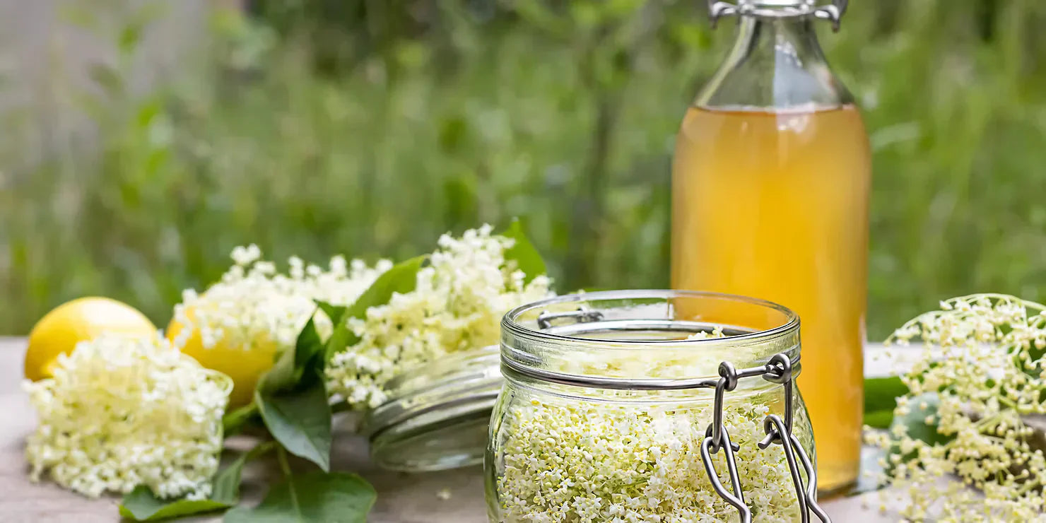 Holunderblütensirup – Eine sommerliche Familientradition
